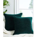 Velvet 2-Pack Decorative Pillow, 18